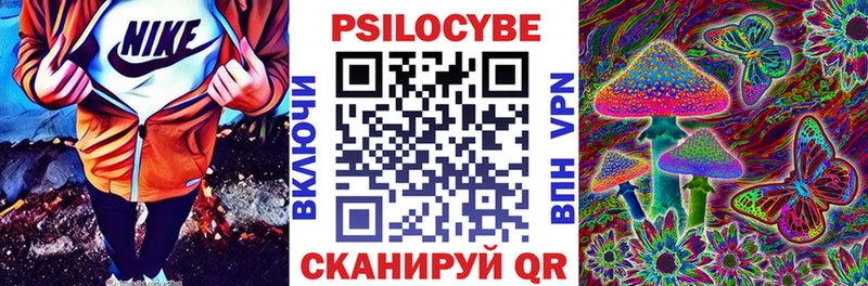 Купить где  Морозовск  Галлюциногенные грибы Cubensis 
