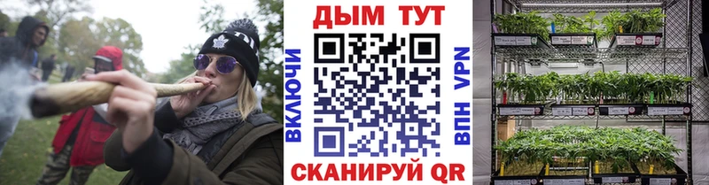 Бошки Шишки MAZAR  Купить закладки  Морозовск 